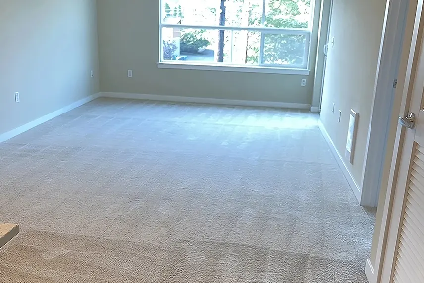 carpet-cleaning